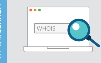 Navigating the WHOIS landscape